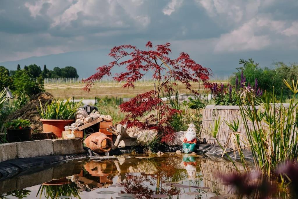 Country Apartment, Near Bardolino And Lazise Calmasino 外观 照片